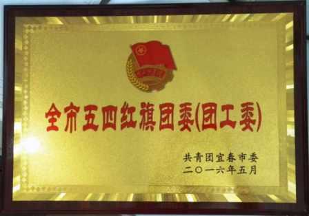 luck18团委荣膺宜春市“五四红旗团委” (1).jpg